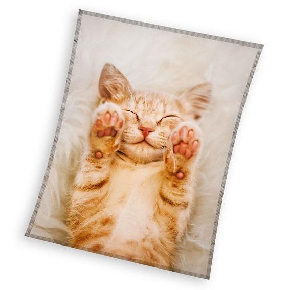 Kitten fleece plaid 130 x 170 cm
